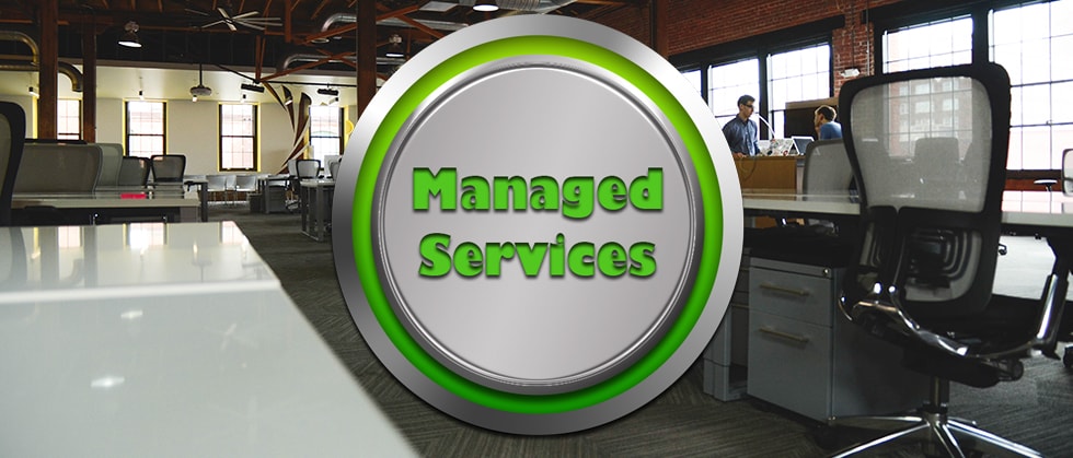 managed solutions it support business plan